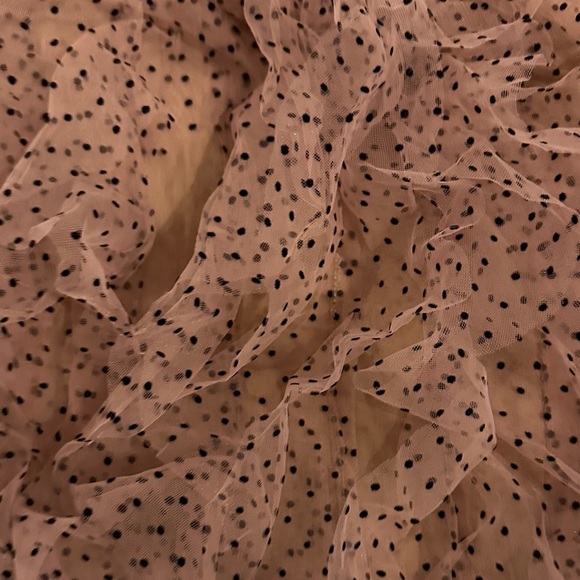 Anthropologie Dolan Left Coast Mesh Ruffle Top - Medium - Picture 11 of 12